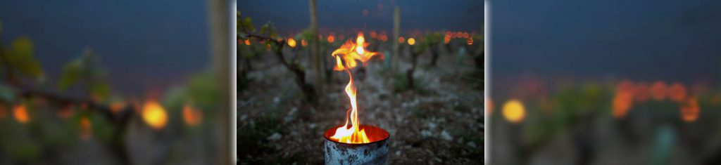 velas parafina antiheladas